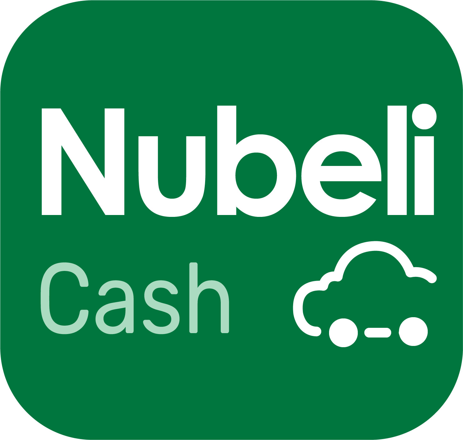 NUBE L.I INC